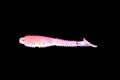 Gypsy Rose - 3.8" Ribbed Paddle Tail Swimbait