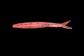 Lavish - 5" Fluke/Split Tail Jerk Shad - Ribbed Back