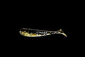 Gold Digger - 3" Paddle Tail Swimbait