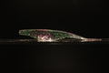 Krypto9 - 5" Fluke Swimbait/Split Tail Shad