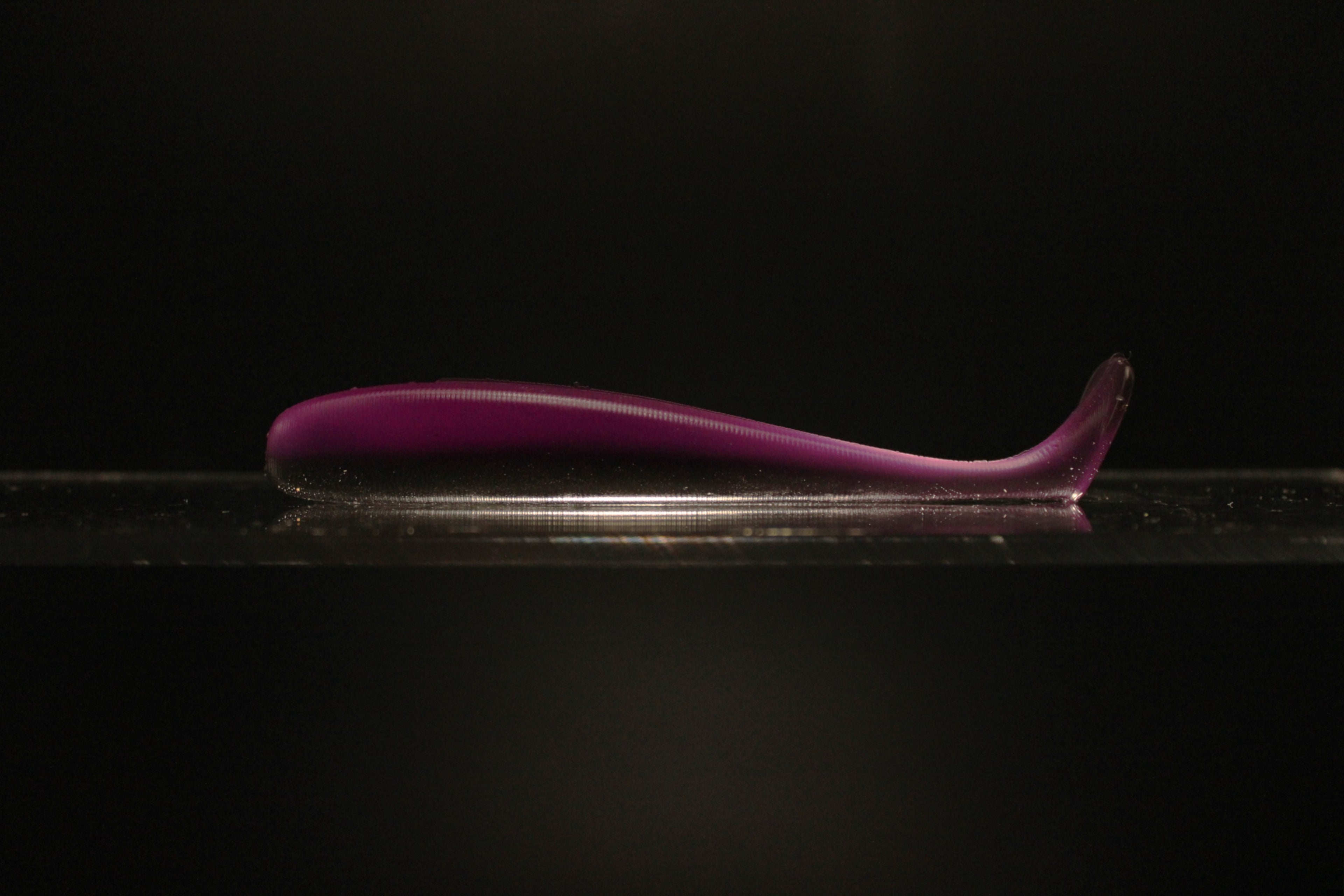 Purple Rein - 4" Paddle Tail Swimbait