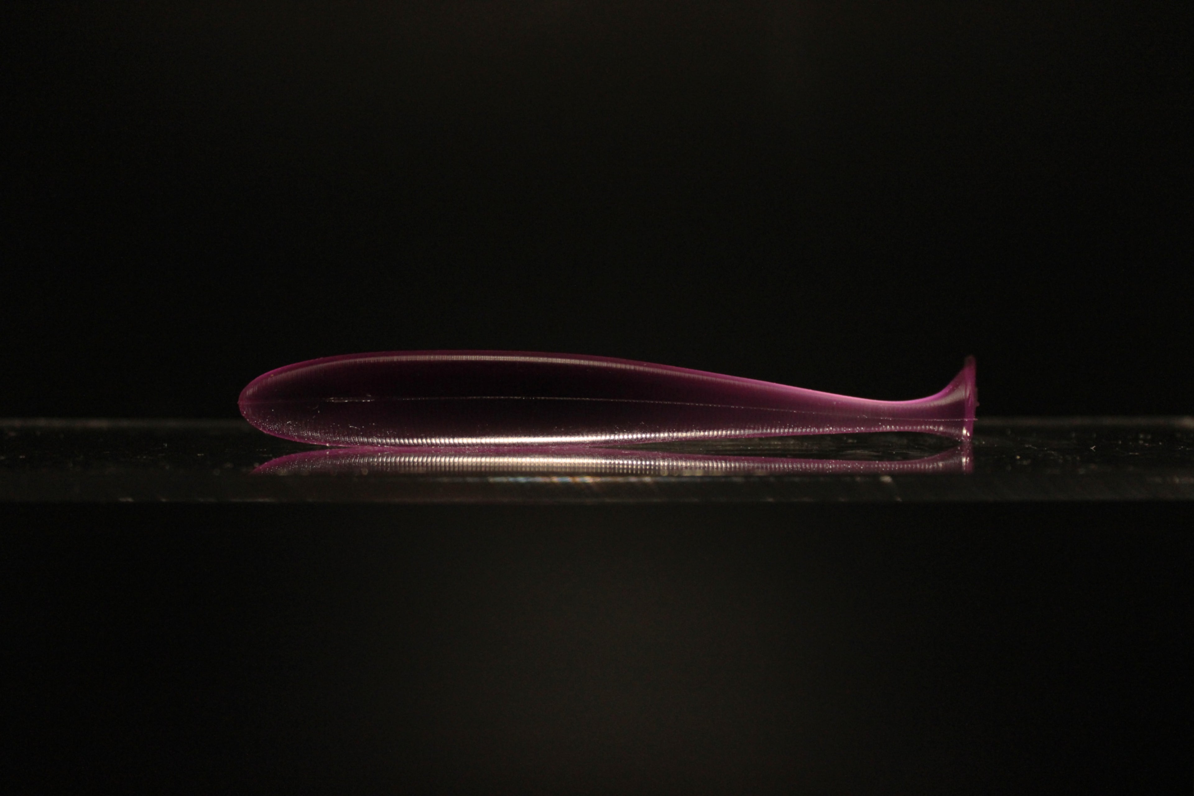Purple Rein - 4" Paddle Tail Swimbait