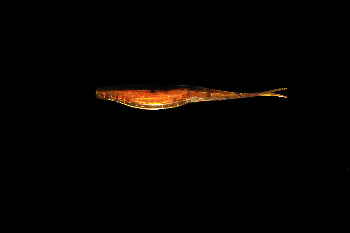 Trixie Treat - 4" Fluke/Jerk Shad Smooth Back
