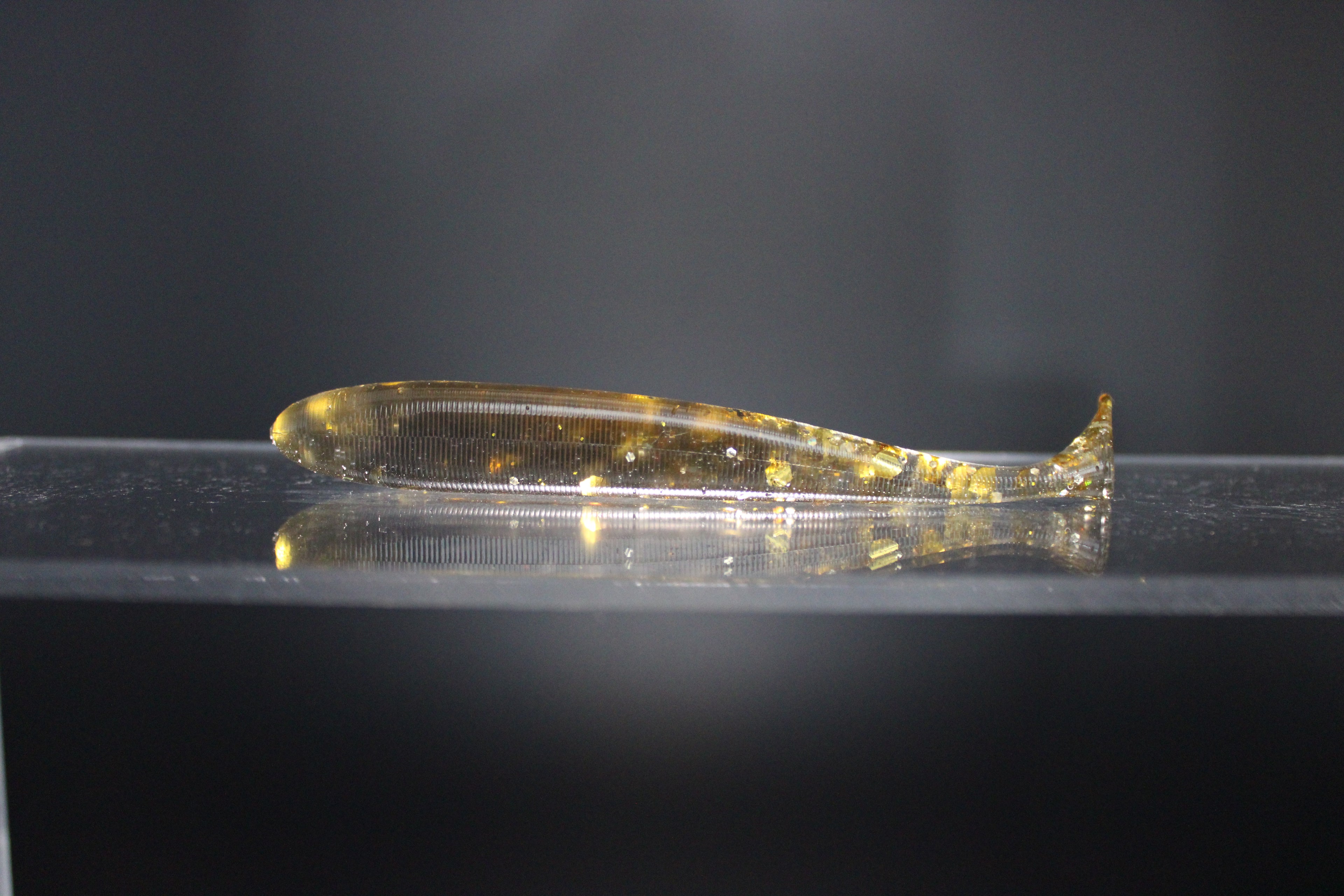 Gold Digger - 4" Paddle Tail Swimbait