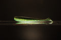 Greenade - 4" Paddle Tail Swimbait
