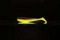 Hell Raisin - 3" Paddle Tail Swimbait