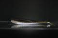Hammer Time - 4" Paddle Tail Swimbait