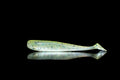 49 Styleline - 4" Paddle Tail Swimbait