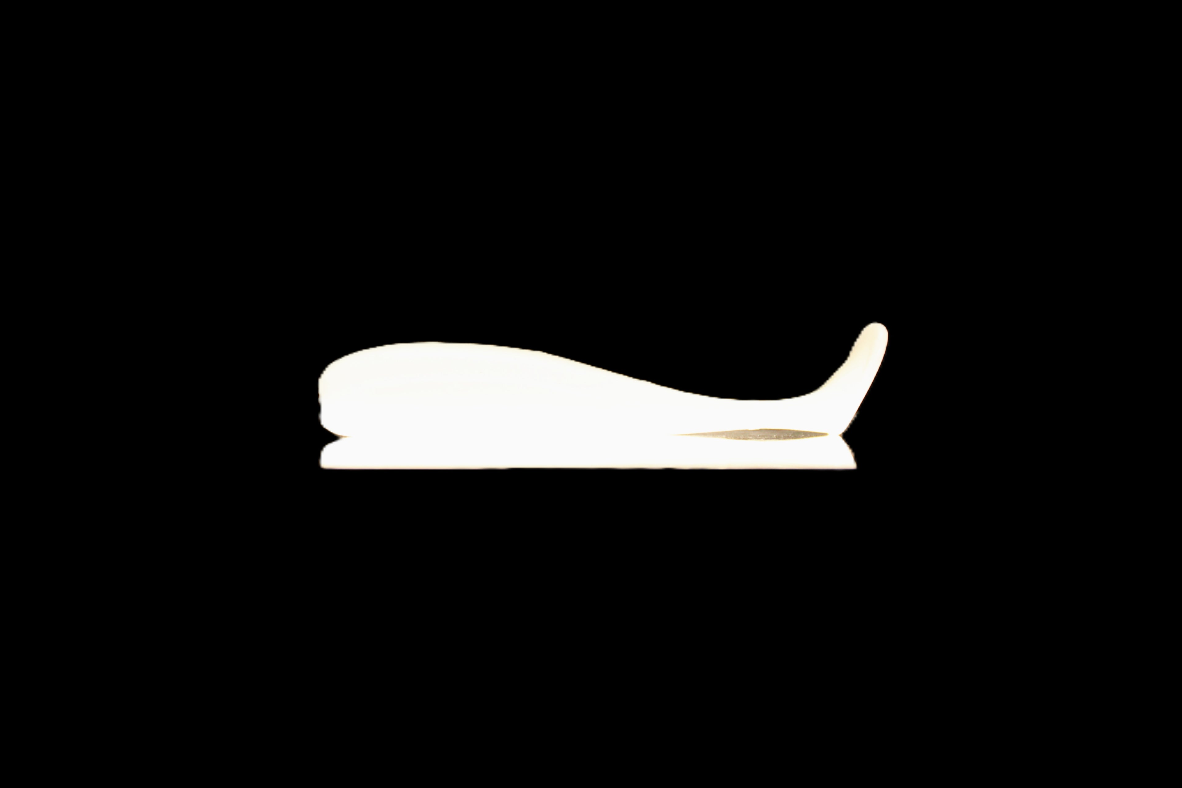 Snowcone - 3" Paddle Tail Swimbait