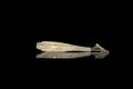 Vigil 66 - 3.3" Ribbled Circular Paddle Tail