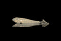 Vigil 66 - 3.8" Ribbed Circular Paddle Tail